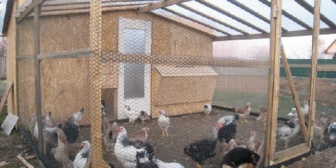 Kako vlastitim rukama izgraditi kokošinjac na selu